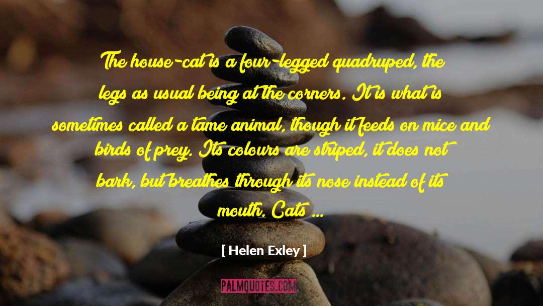 Helen Exley Quotes: The house-cat is a four-legged