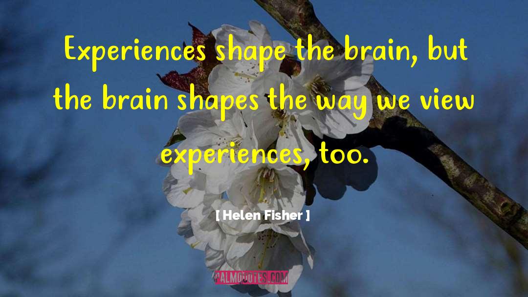 Helen Fisher Quotes: Experiences shape the brain, but