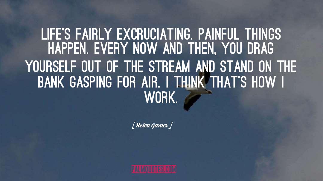 Helen Garner Quotes: Life's fairly excruciating. Painful things