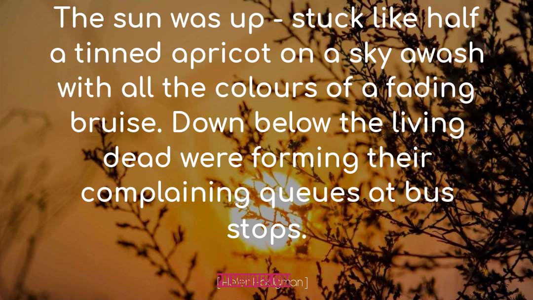 Helen Hodgman Quotes: The sun was up -