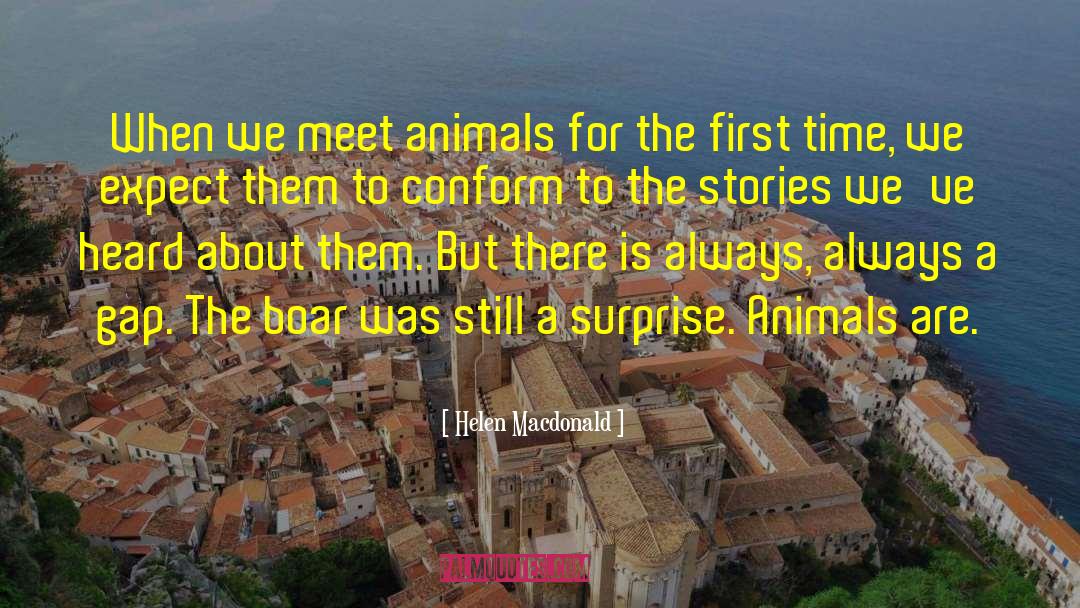 Helen Macdonald Quotes: When we meet animals for