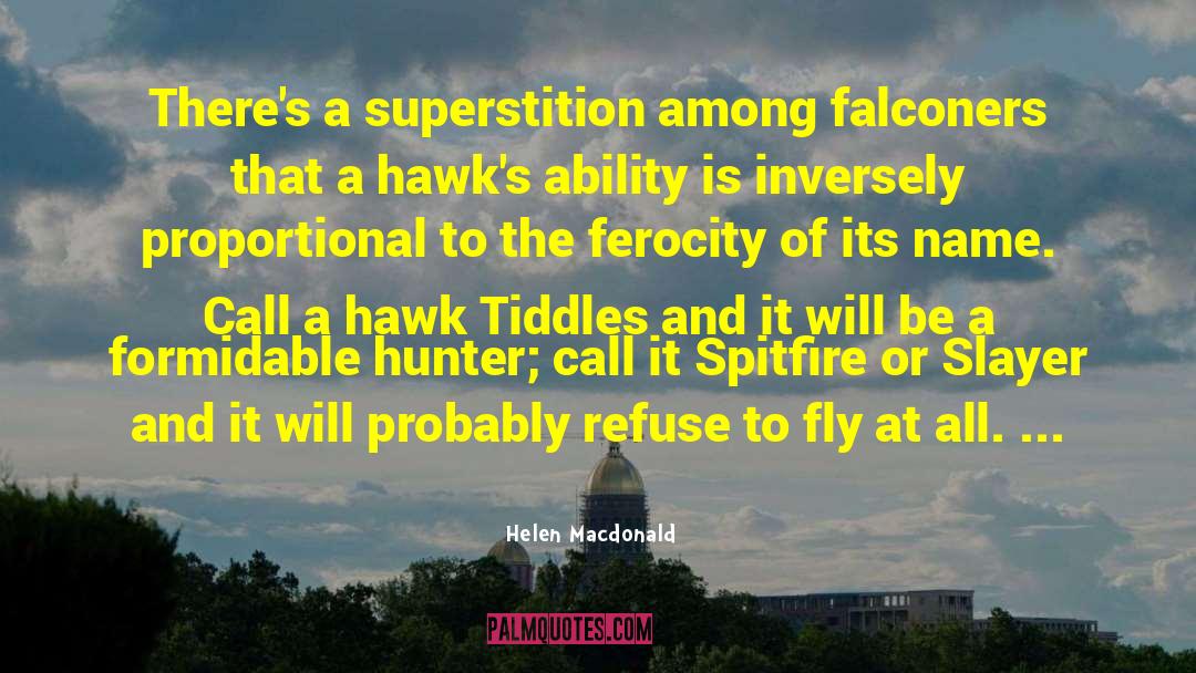 Helen Macdonald Quotes: There's a superstition among falconers