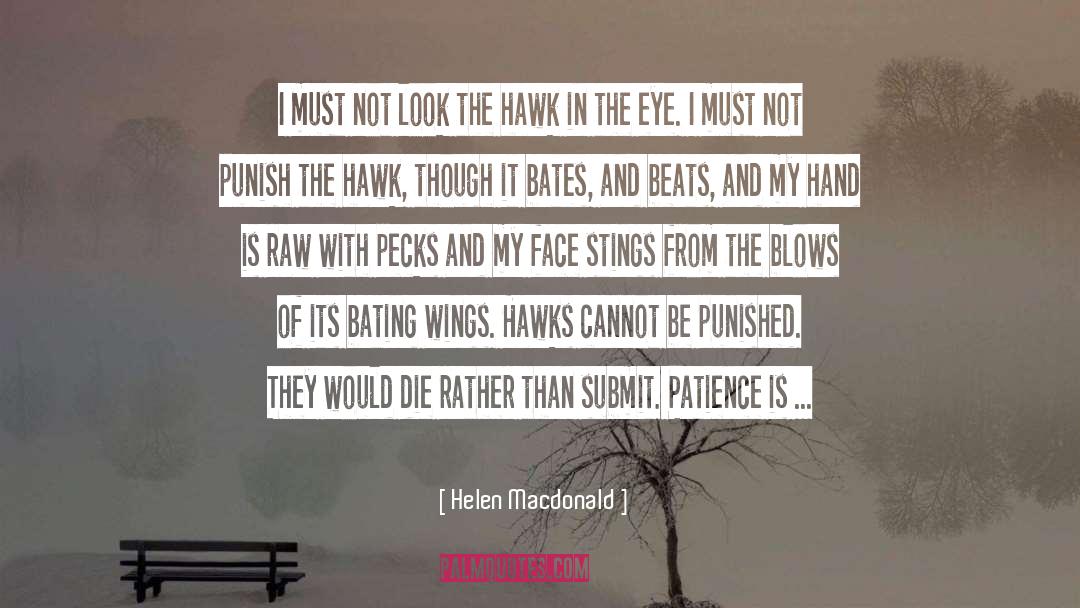 Helen Macdonald Quotes: I must not look the