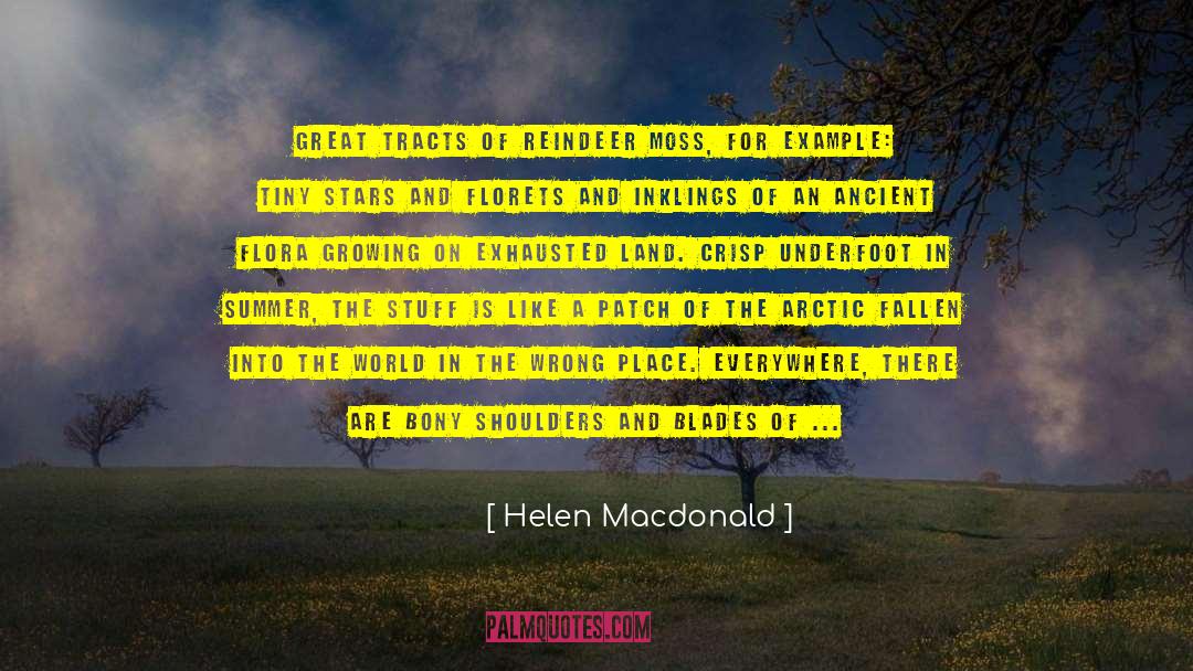Helen Macdonald Quotes: Great tracts of reindeer moss,