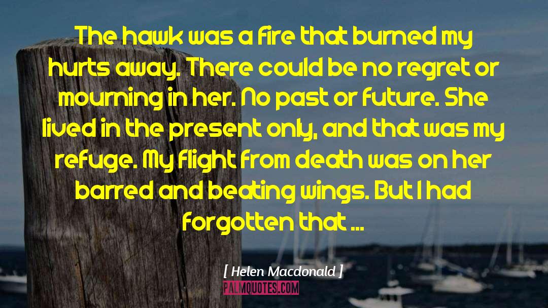 Helen Macdonald Quotes: The hawk was a fire