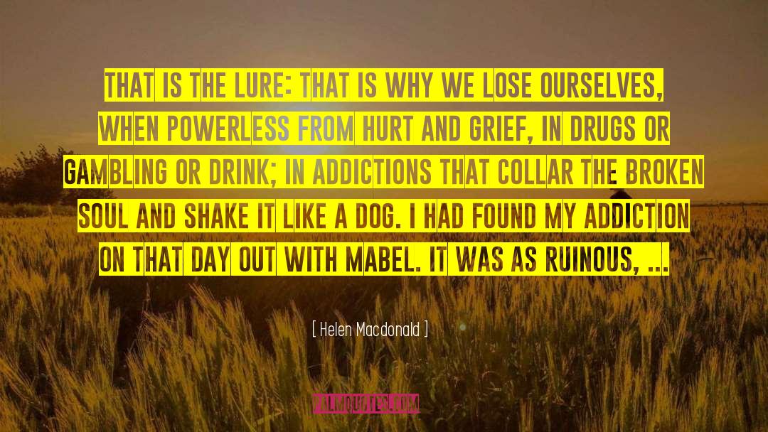 Helen Macdonald Quotes: That is the lure: that