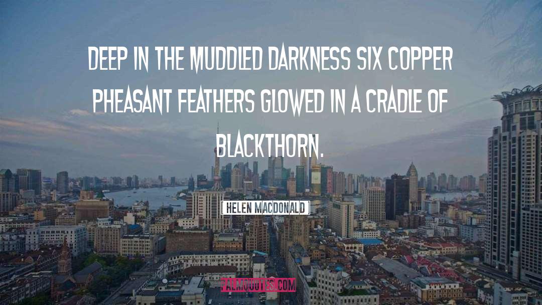 Helen Macdonald Quotes: Deep in the muddled darkness