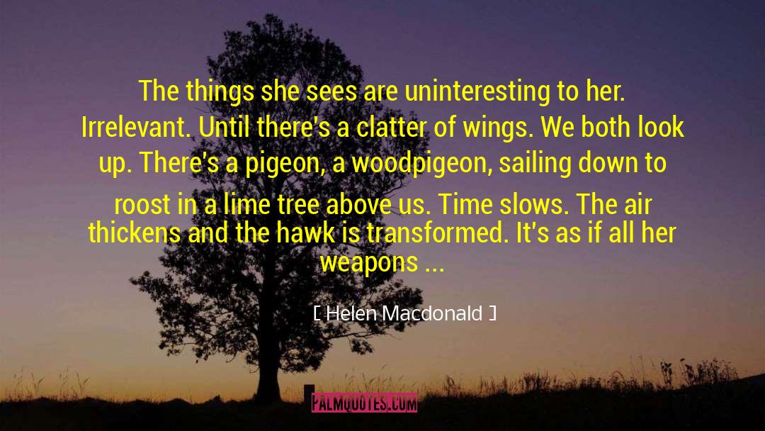 Helen Macdonald Quotes: The things she sees are