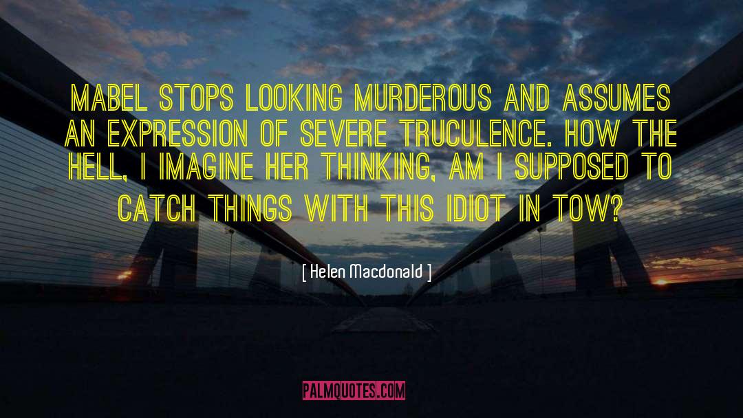 Helen Macdonald Quotes: Mabel stops looking murderous and