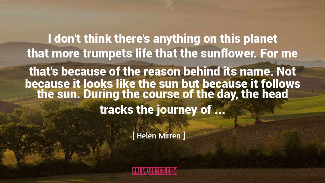 Helen Mirren Quotes: I don't think there's anything