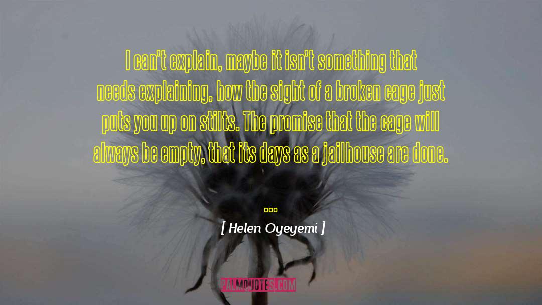 Helen Oyeyemi Quotes: I can't explain, maybe it