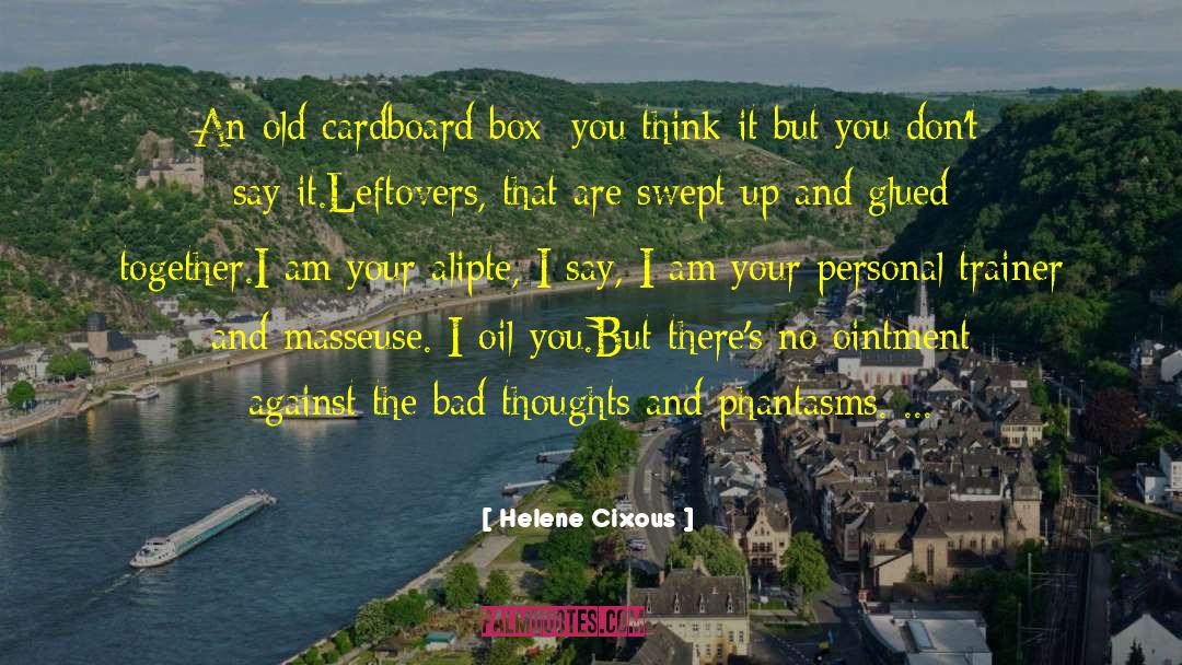 Helene Cixous Quotes: An old cardboard box: you