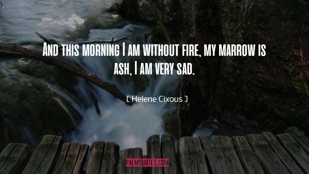 Helene Cixous Quotes: And this morning I am