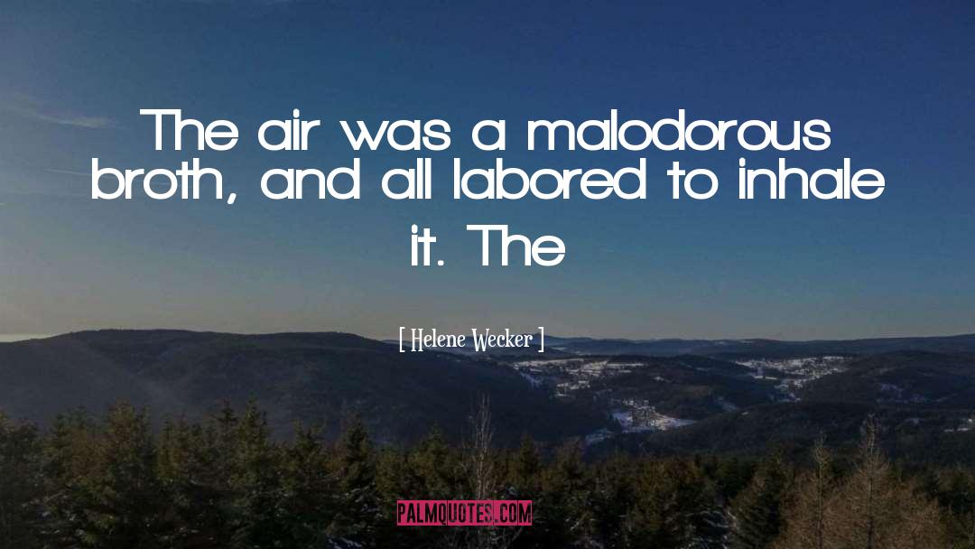 Helene Wecker Quotes: The air was a malodorous