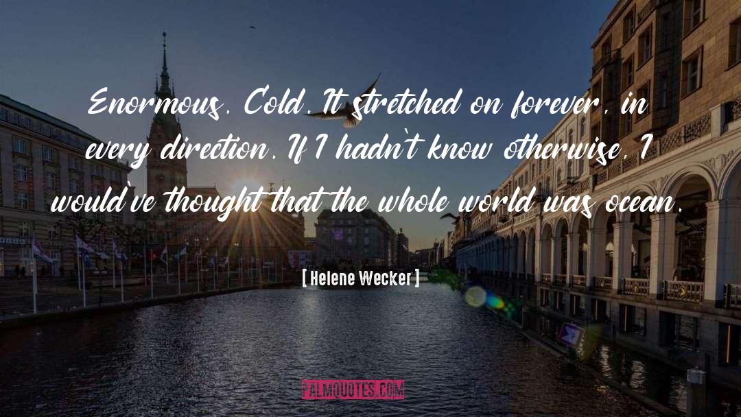 Helene Wecker Quotes: Enormous. Cold. It stretched on