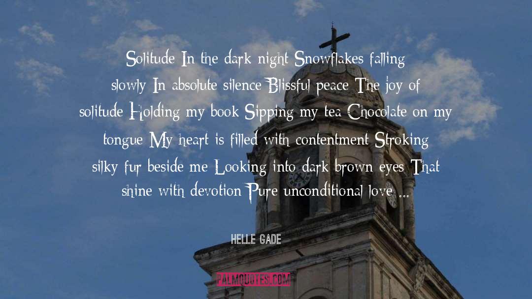 Helle Gade Quotes: Solitude In the dark night