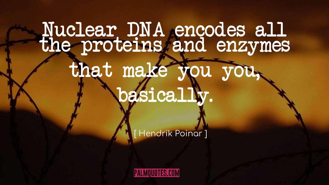 Hendrik Poinar Quotes: Nuclear DNA encodes all the