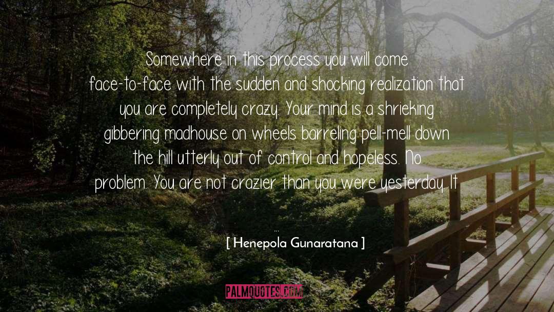 Henepola Gunaratana Quotes: Somewhere in this process you