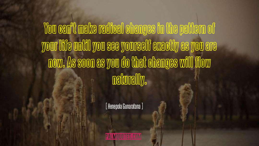 Henepola Gunaratana Quotes: You can't make radical changes