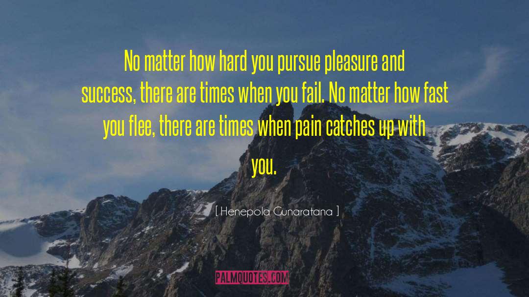 Henepola Gunaratana Quotes: No matter how hard you