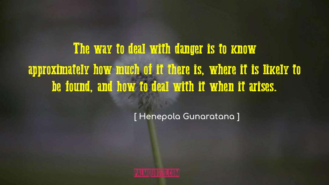 Henepola Gunaratana Quotes: The way to deal with