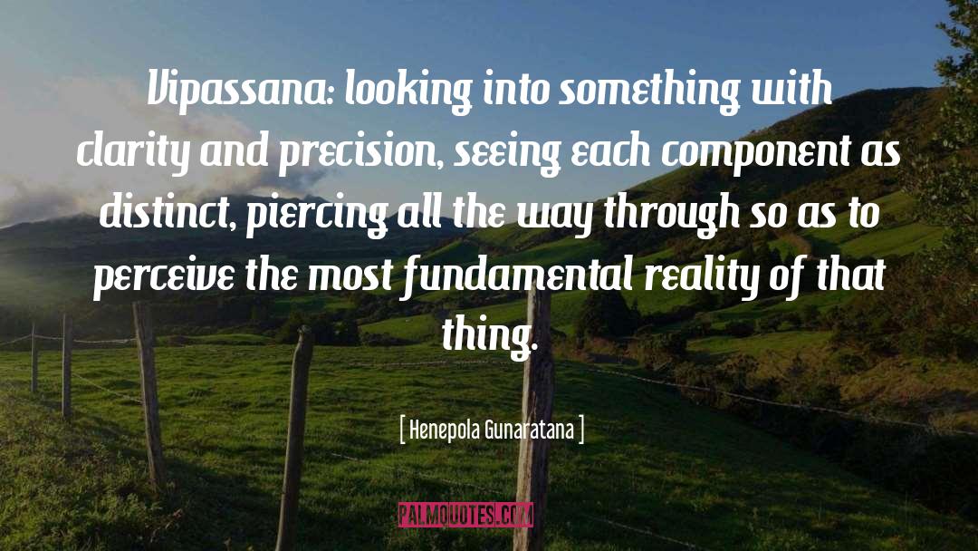 Henepola Gunaratana Quotes: Vipassana: looking into something with