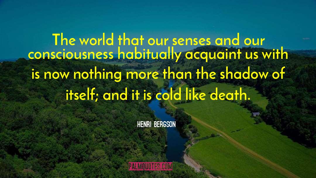 Henri Bergson Quotes: The world that our senses