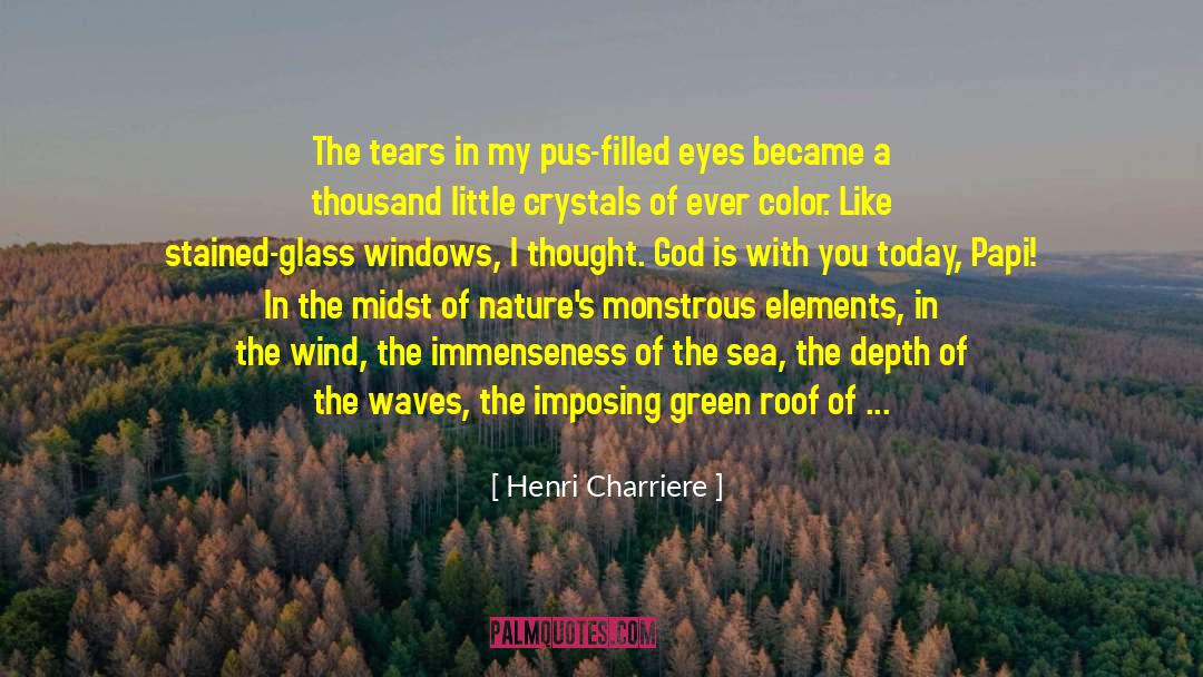 Henri Charriere Quotes: The tears in my pus-filled