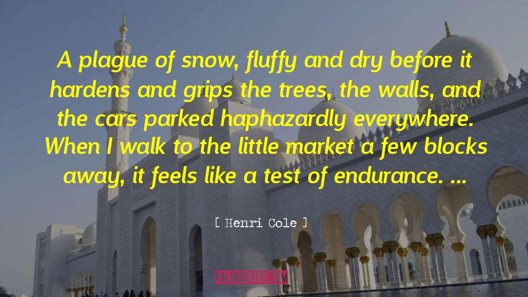 Henri Cole Quotes: A plague of snow, fluffy
