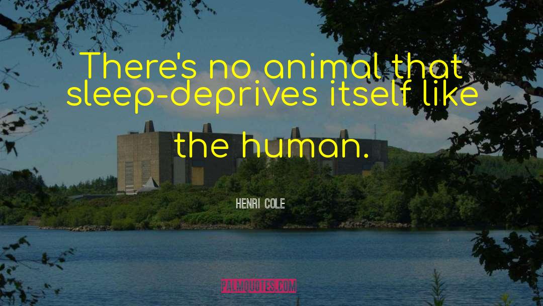 Henri Cole Quotes: There's no animal that sleep-deprives
