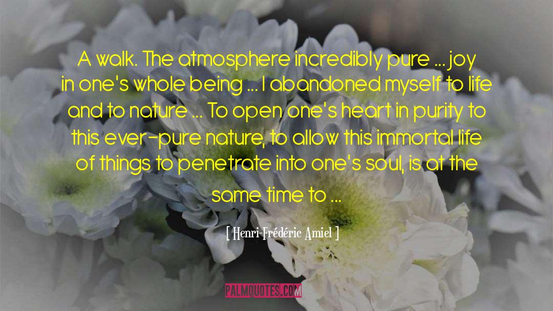Henri-Frédéric Amiel Quotes: A walk. The atmosphere incredibly