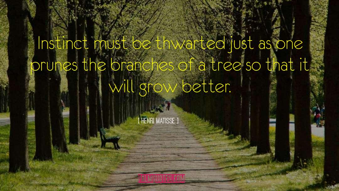 Henri Matisse Quotes: Instinct must be thwarted just