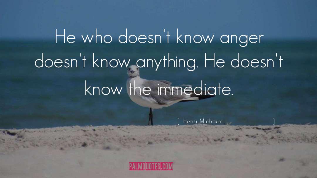 Henri Michaux Quotes: He who doesn't know anger