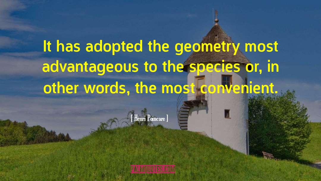 Henri Poincare Quotes: It has adopted the geometry