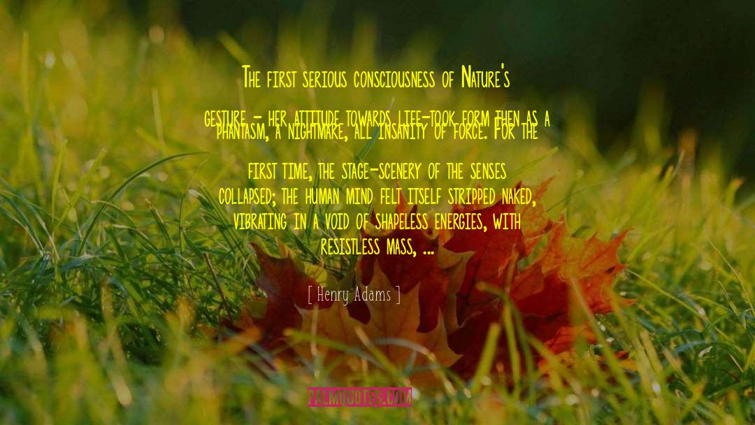 Henry Adams Quotes: The first serious consciousness of