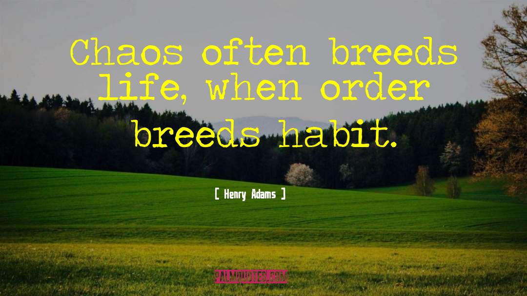 Henry Adams Quotes: Chaos often breeds life, when
