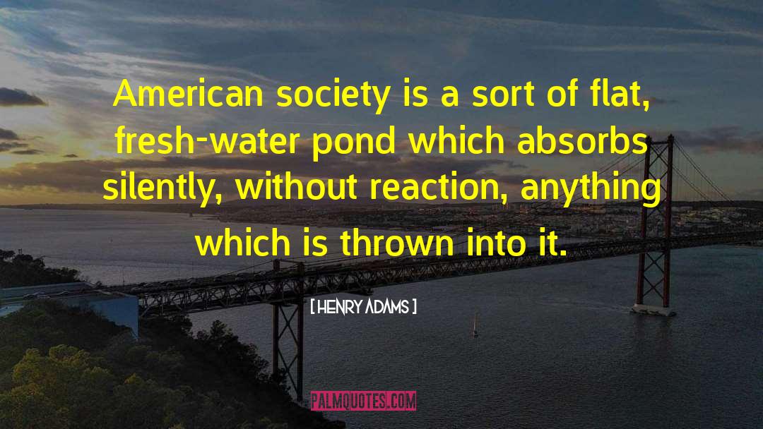 Henry Adams Quotes: American society is a sort