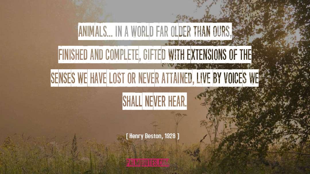 Henry Beston, 1928 Quotes: ANIMALS... in a world far