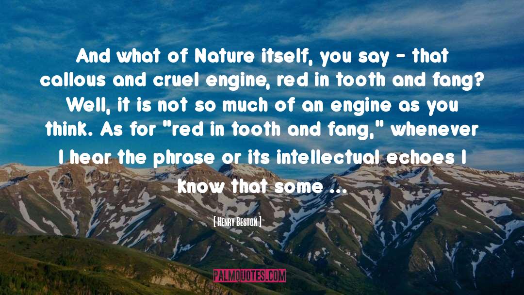 Henry Beston Quotes: And what of Nature itself,