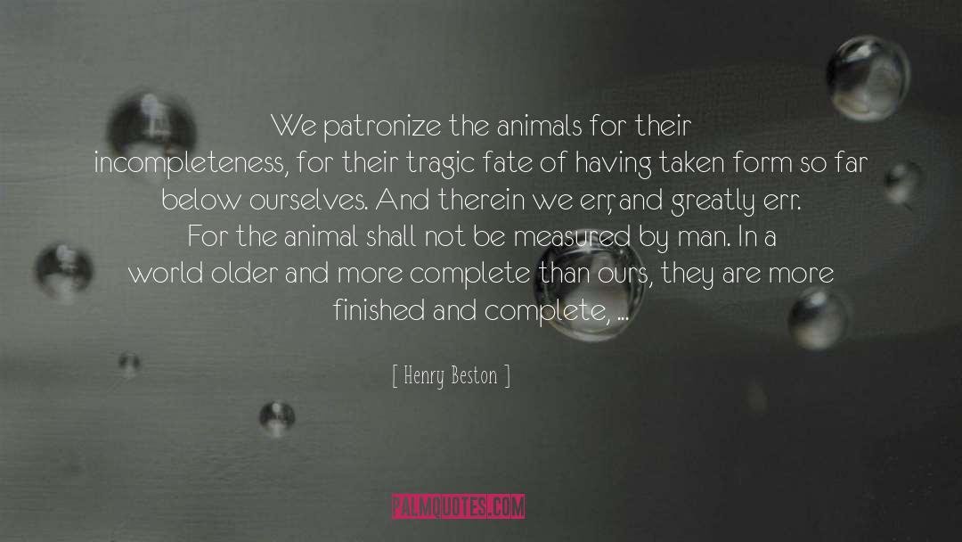 Henry Beston Quotes: We patronize the animals for