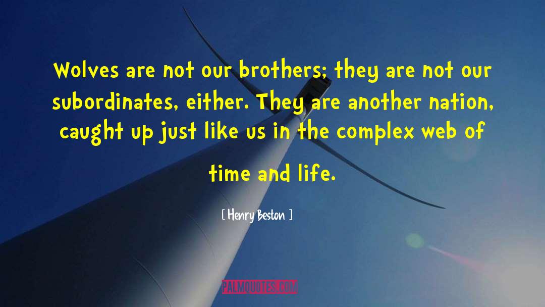 Henry Beston Quotes: Wolves are not our brothers;