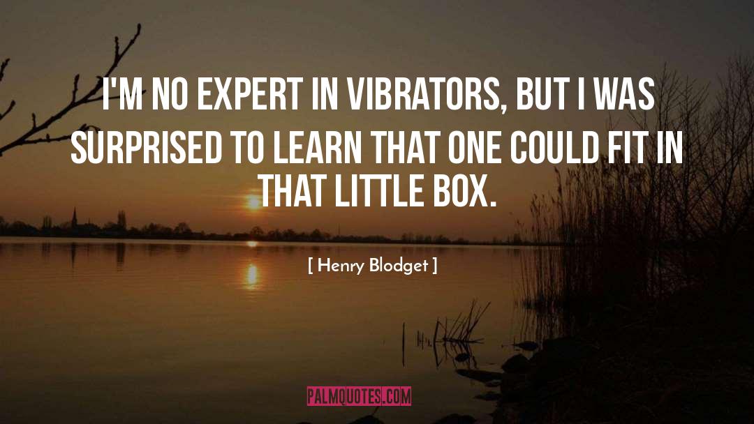 Henry Blodget Quotes: I'm no expert in vibrators,