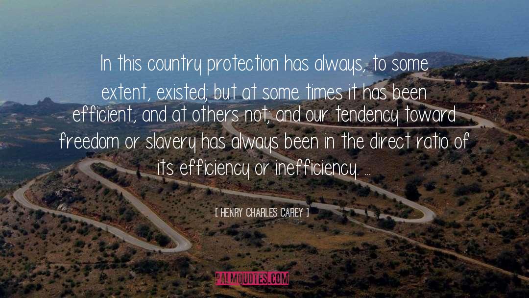 Henry Charles Carey Quotes: In this country protection has
