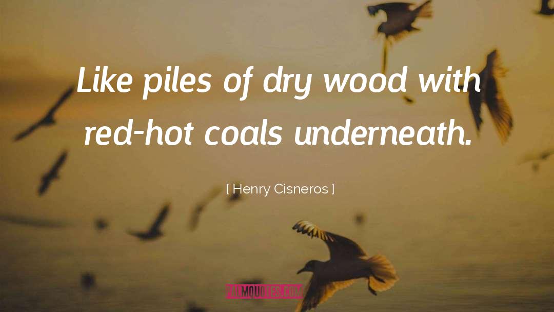 Henry Cisneros Quotes: Like piles of dry wood