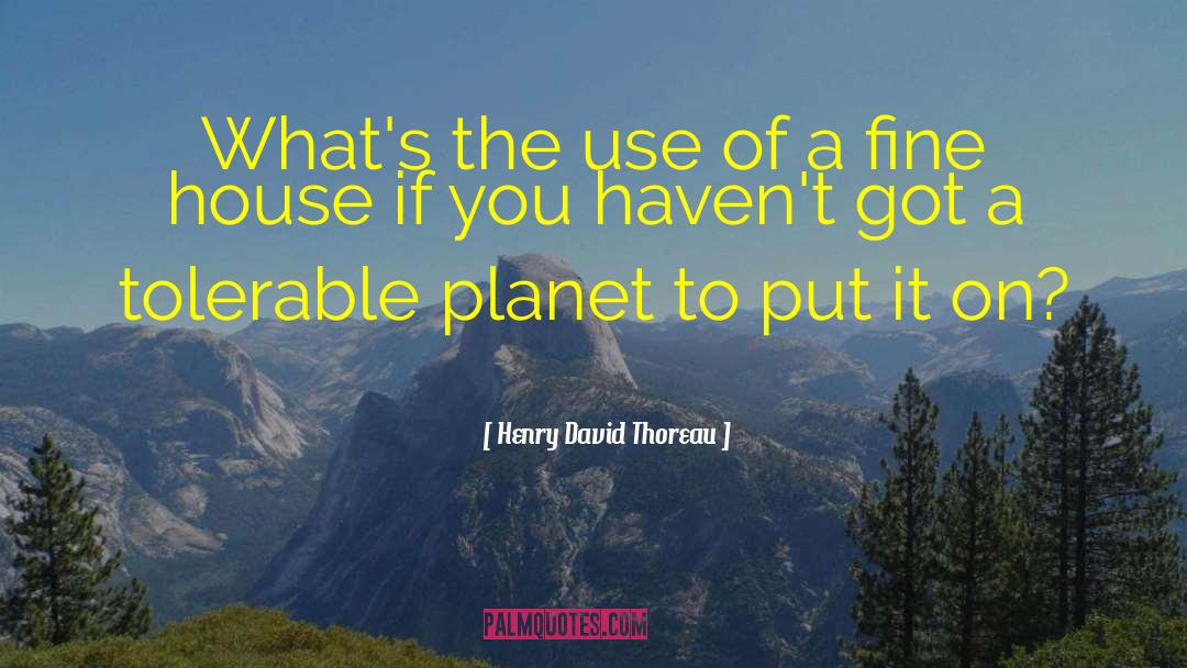 Henry David Thoreau Quotes: What's the use of a