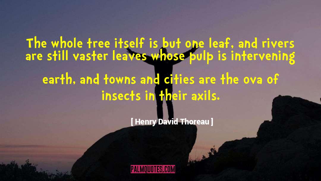 Henry David Thoreau Quotes: The whole tree itself is