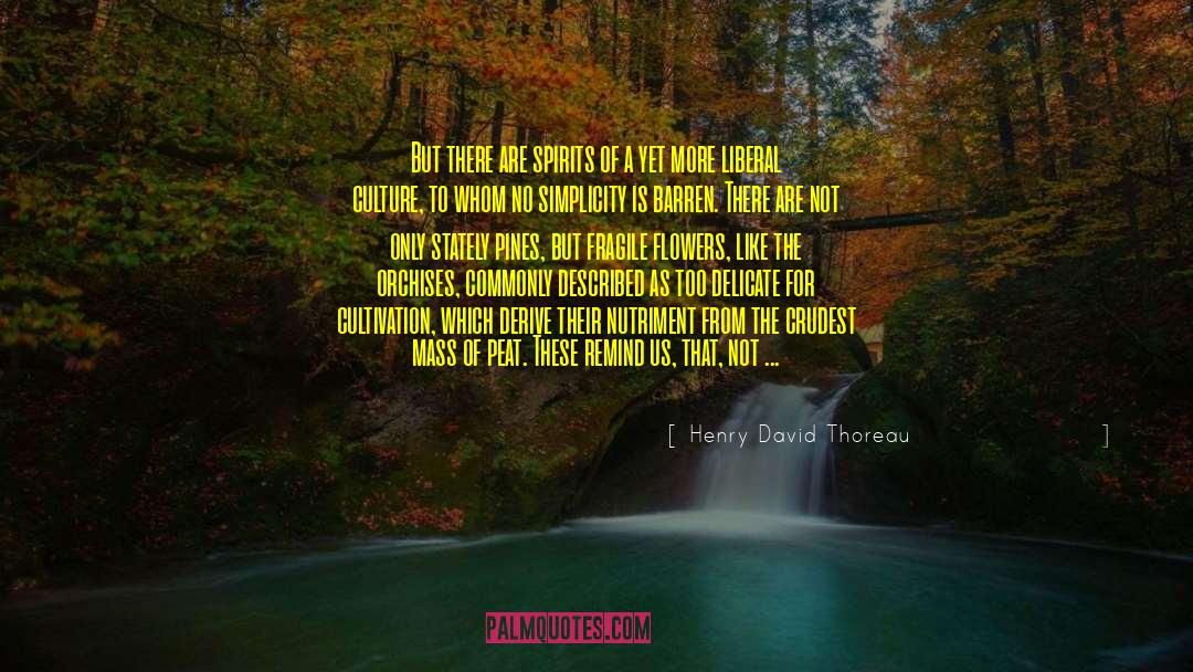 Henry David Thoreau Quotes: But there are spirits of
