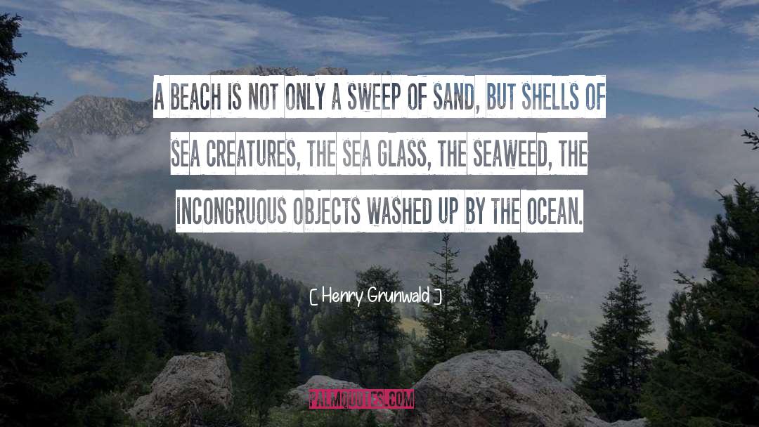 Henry Grunwald Quotes: A beach is not only