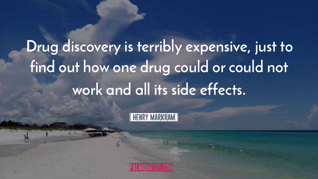 Henry Markram Quotes: Drug discovery is terribly expensive,