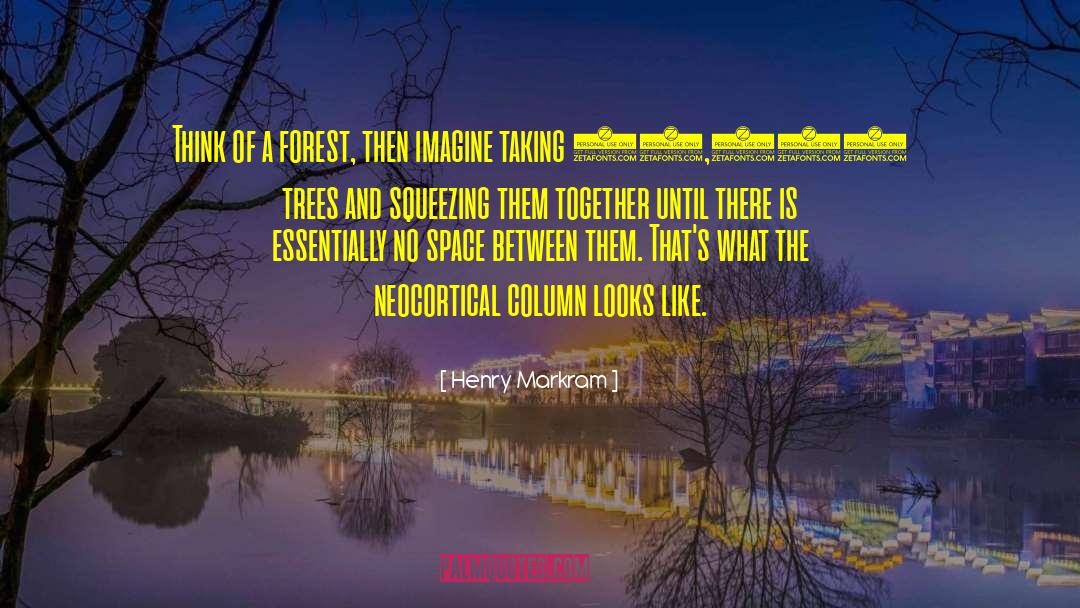 Henry Markram Quotes: Think of a forest, then